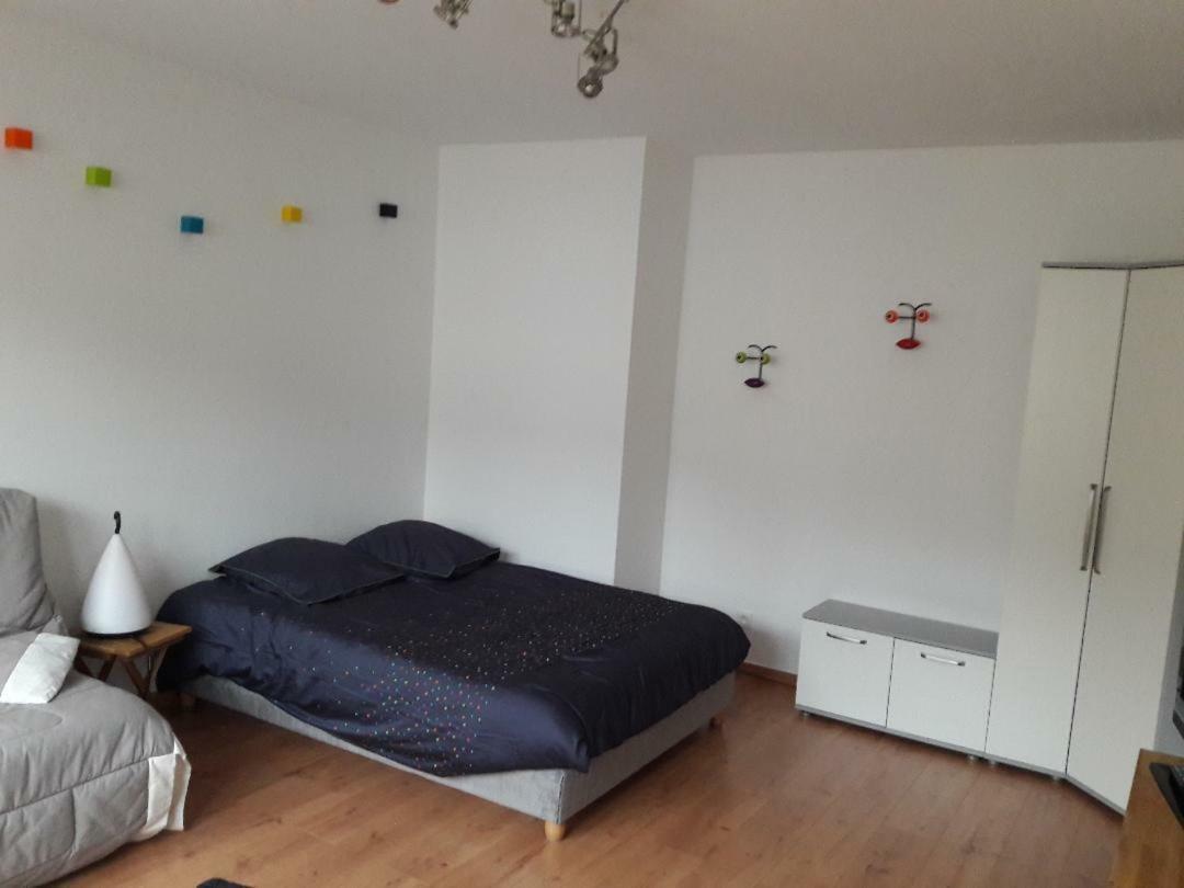 Mathilde'S Studio Apartment Strasbourg Exterior photo